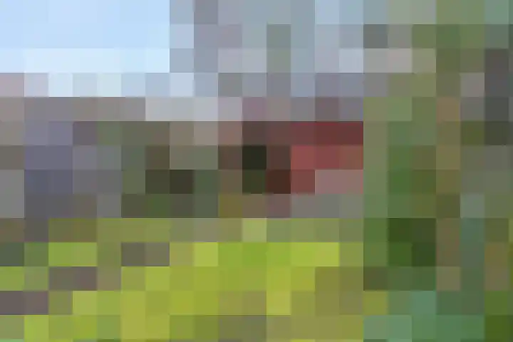 Oversteek 35 Ede thumbnail 38