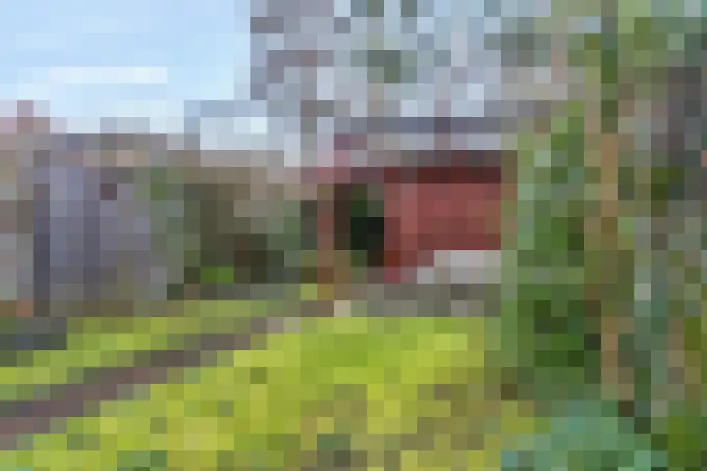 Oversteek 35 Ede thumbnail 38