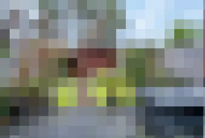Oversteek 35 Ede thumbnail 39