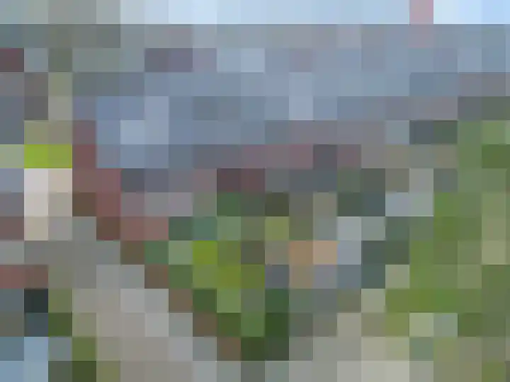 Oversteek 35 Ede thumbnail 44