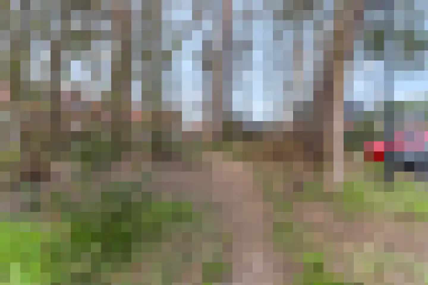 Oversteek 35 Ede thumbnail 57
