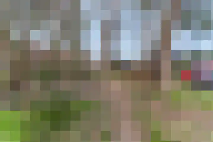 Oversteek 35 Ede thumbnail 57