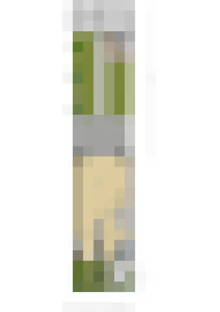 Oversteek 35 Ede thumbnail 65