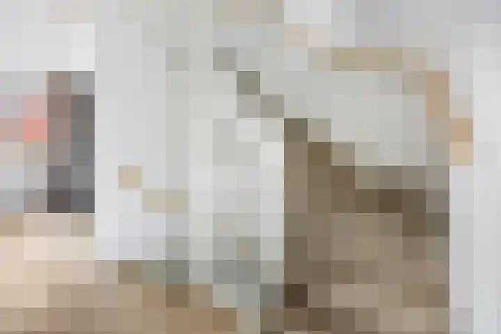 Oversteek 5 Ede thumbnail 21