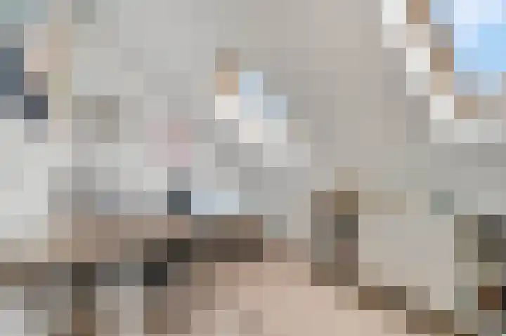 Oversteek 5 Ede thumbnail 24