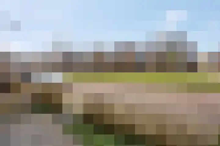 Oversteek 5 Ede thumbnail 32