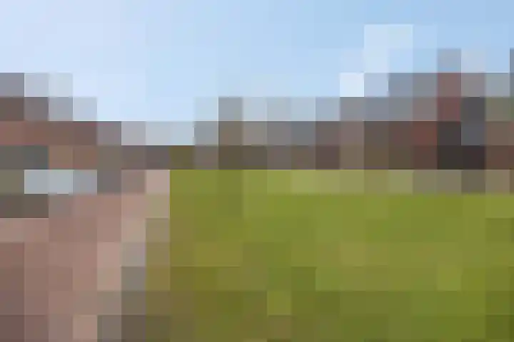 Oversteek 5 Ede thumbnail 35