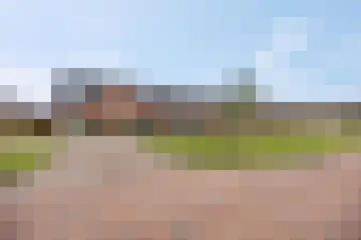 Oversteek 5 Ede thumbnail 36