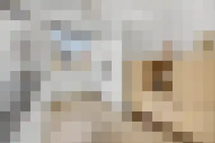 Oversteek 5 Ede thumbnail 7