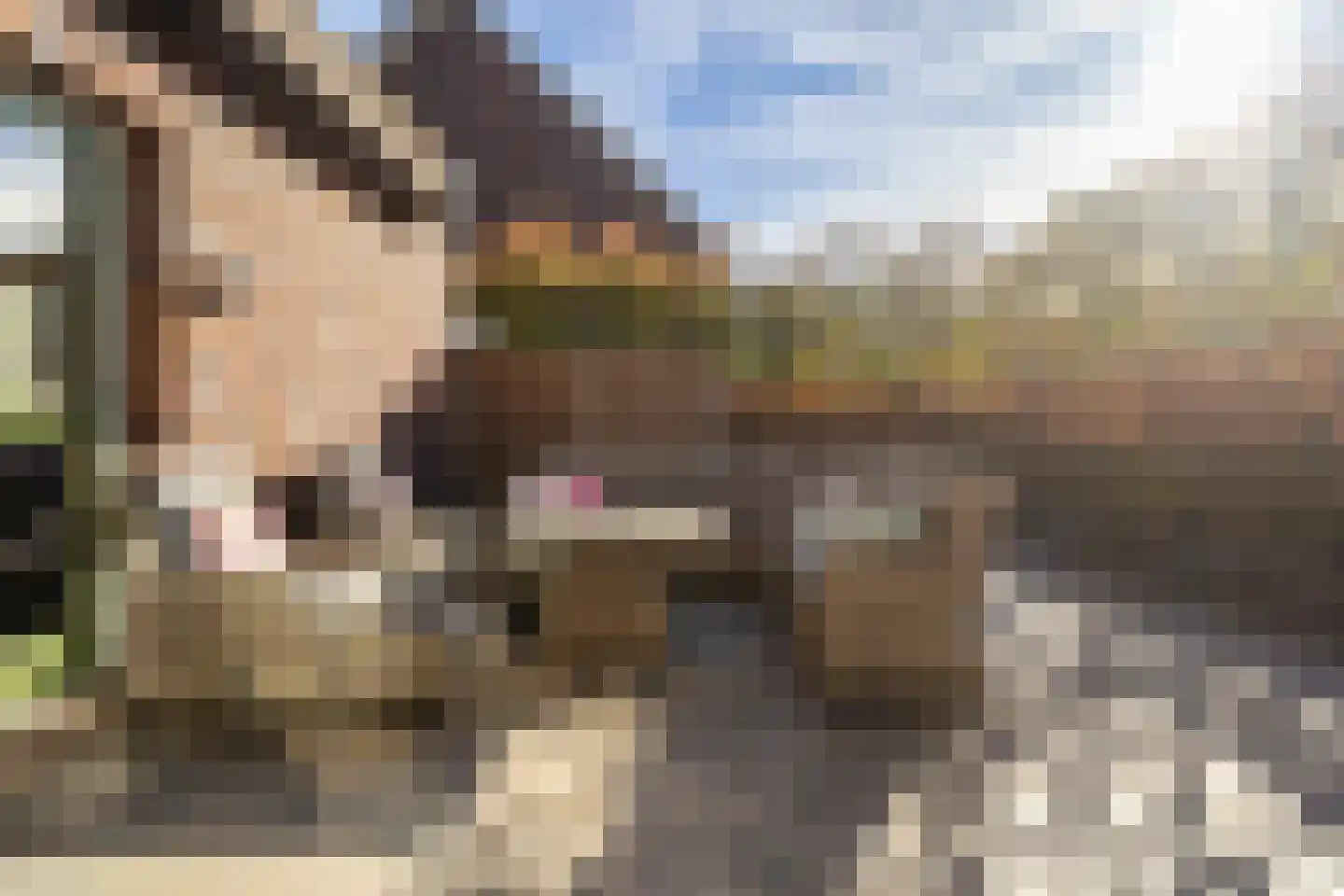 Oversteek 90 Ede thumbnail 4