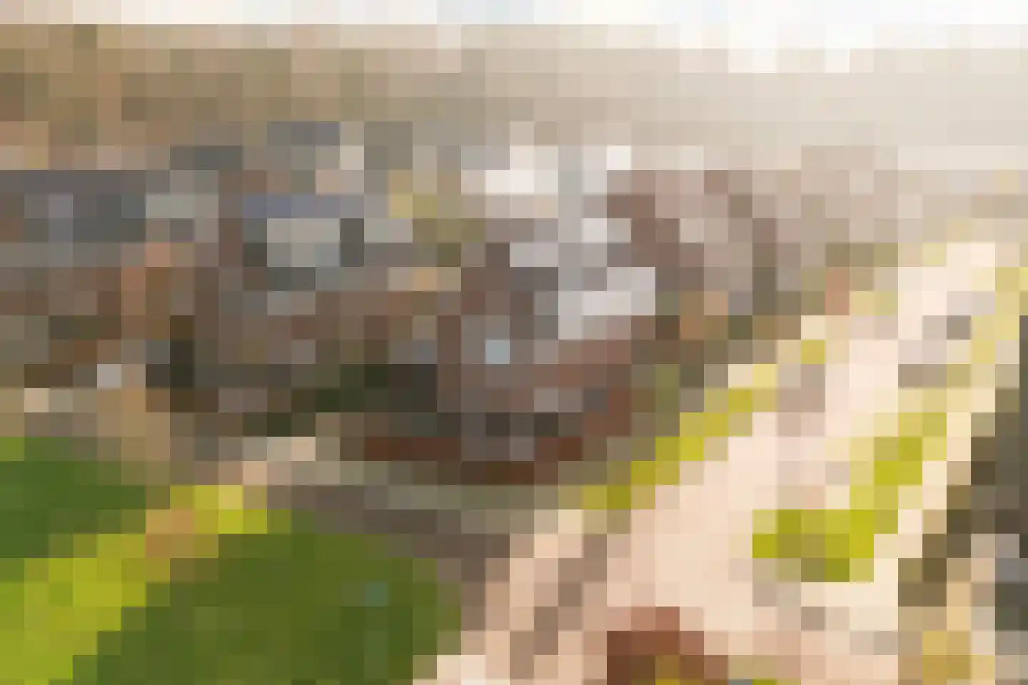 Oversteek 90 Ede thumbnail 5
