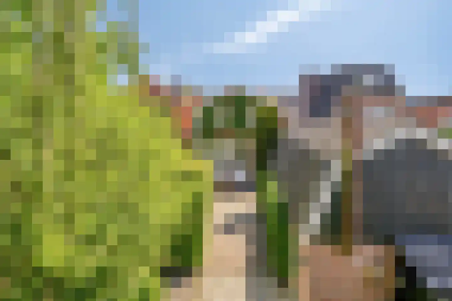 Oversteweg 35 Hengelo thumbnail 36