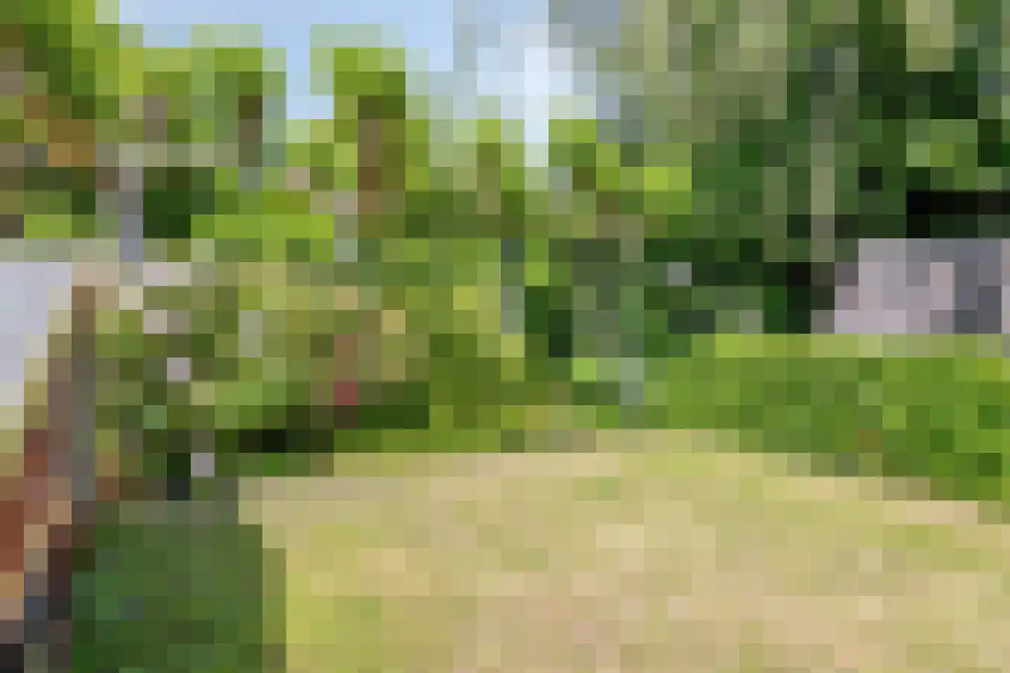 Oversteweg 35 Hengelo thumbnail 43