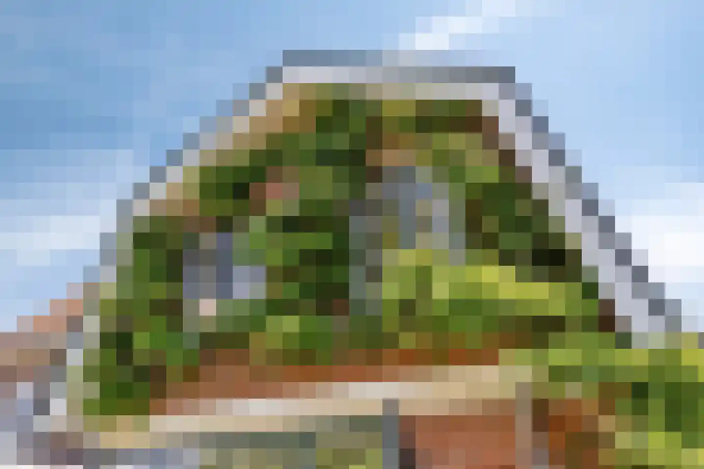 Oversteweg 35 Hengelo thumbnail 44
