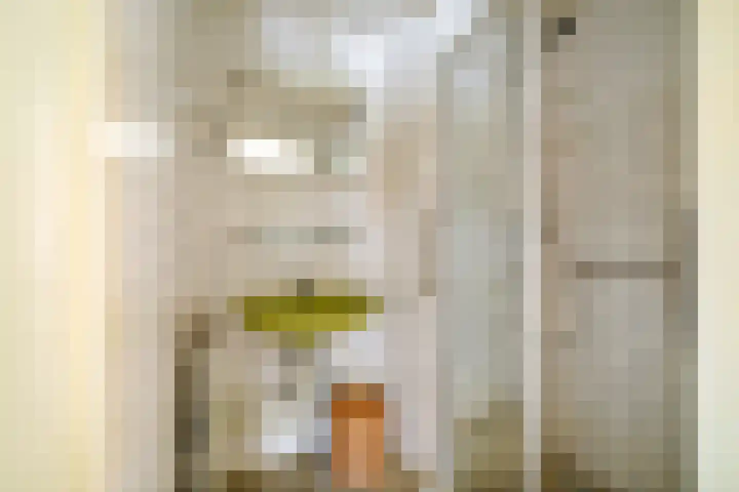Overstichtlaan 25 Deventer thumbnail 23