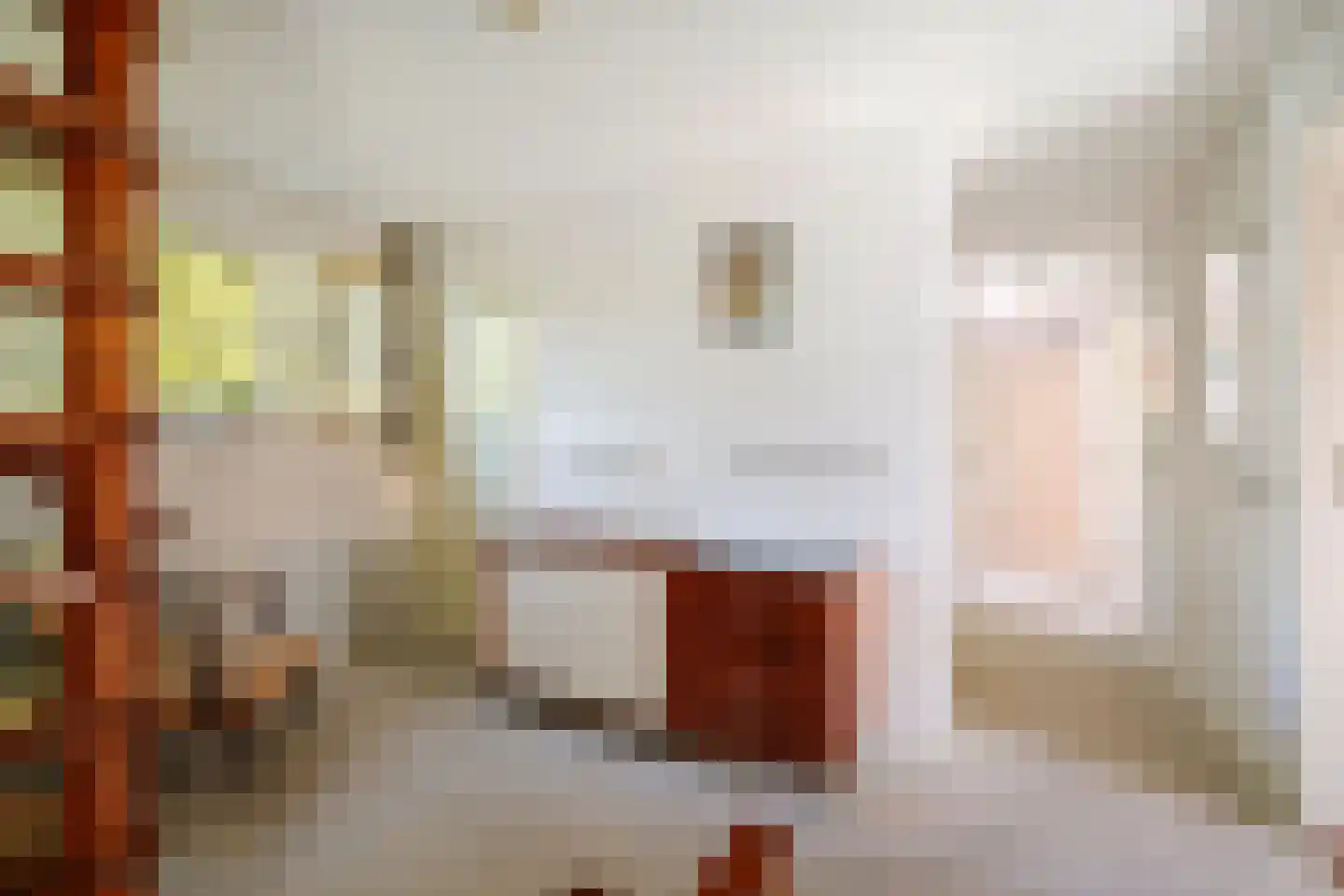 Overstichtlaan 25 Deventer thumbnail 29