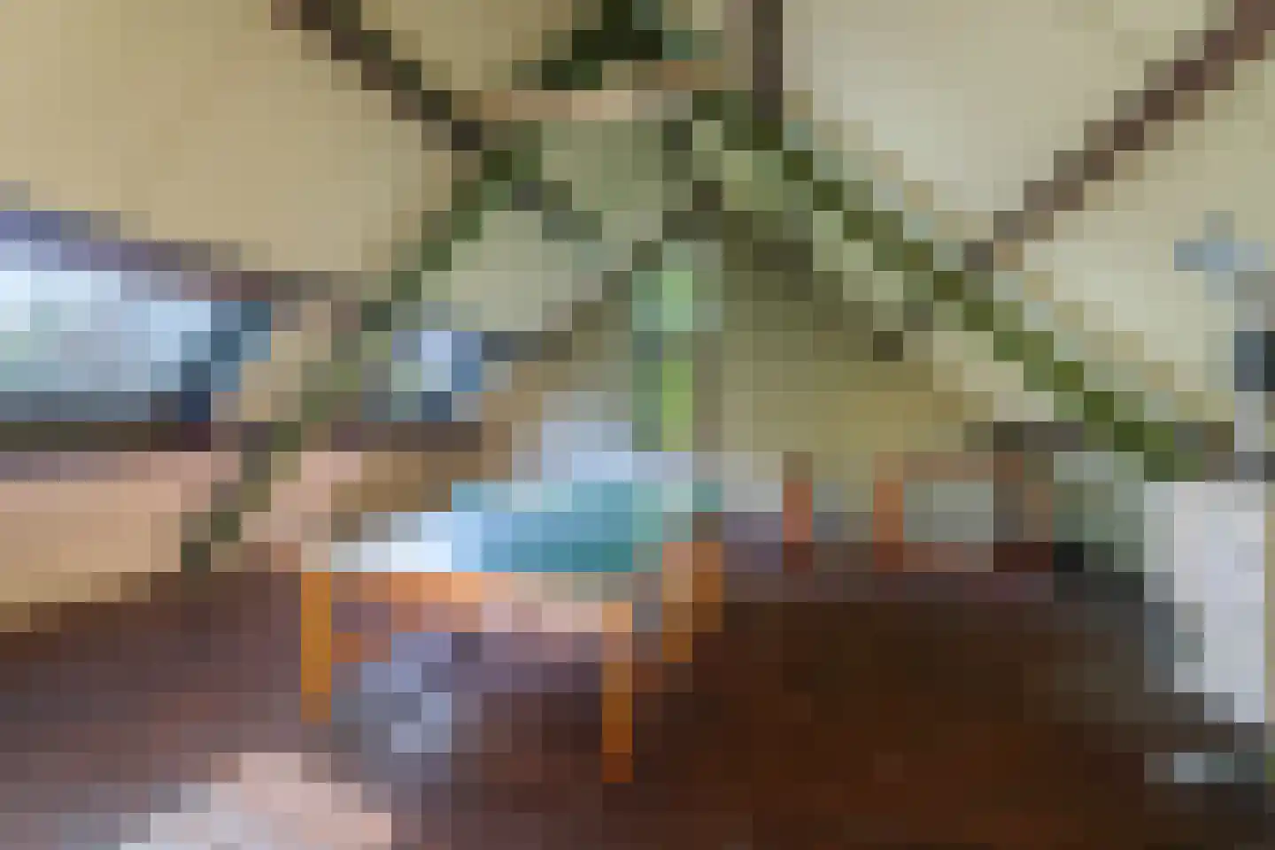 Overstichtlaan 25 Deventer thumbnail 34