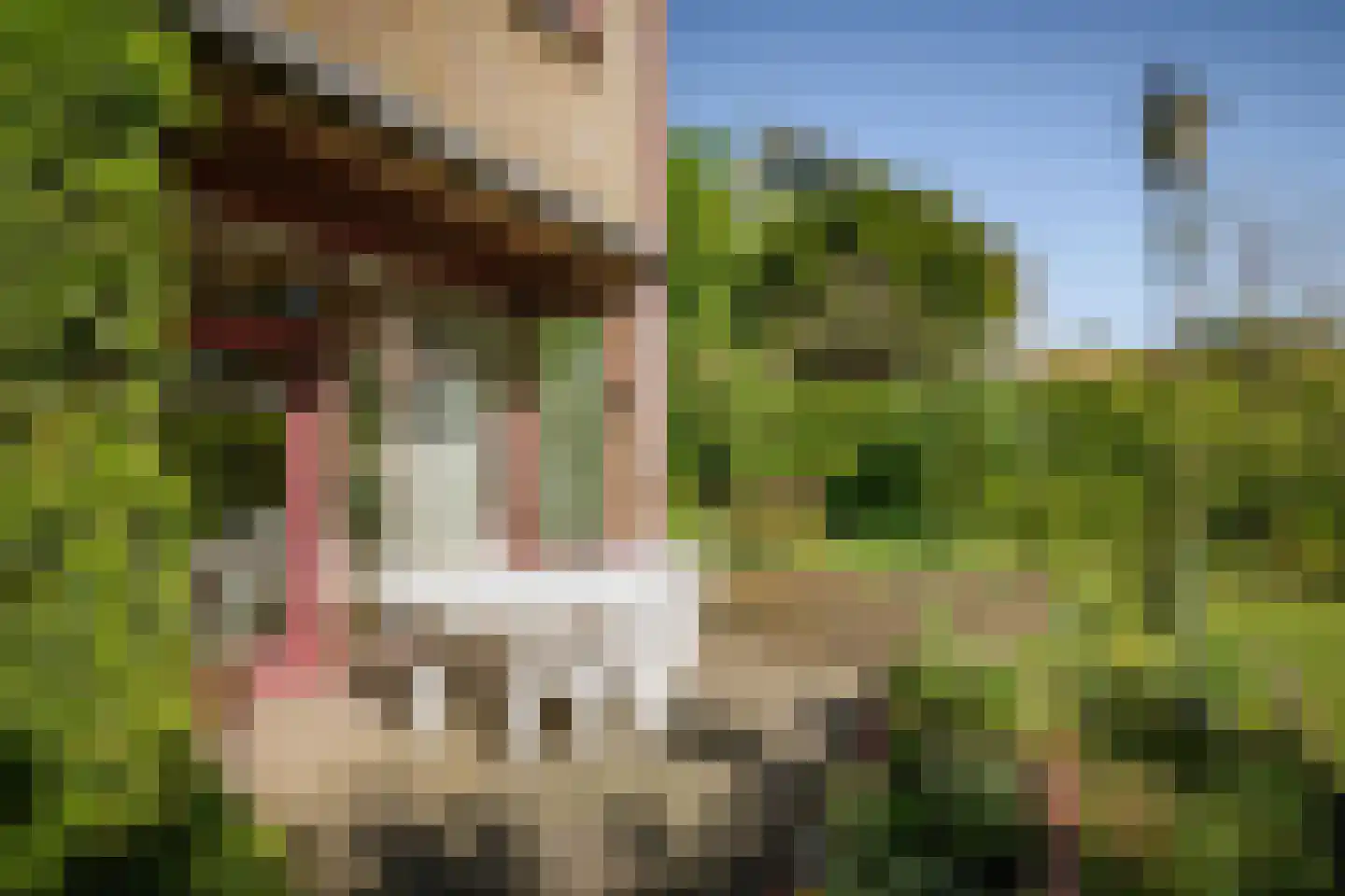 Overstichtlaan 25 Deventer thumbnail 40