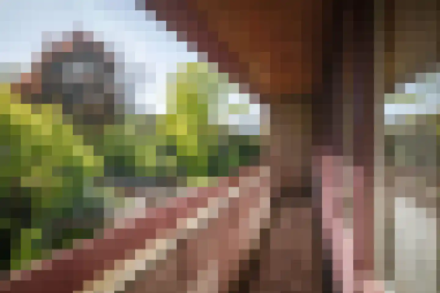 Overstichtlaan 25 Deventer thumbnail 43