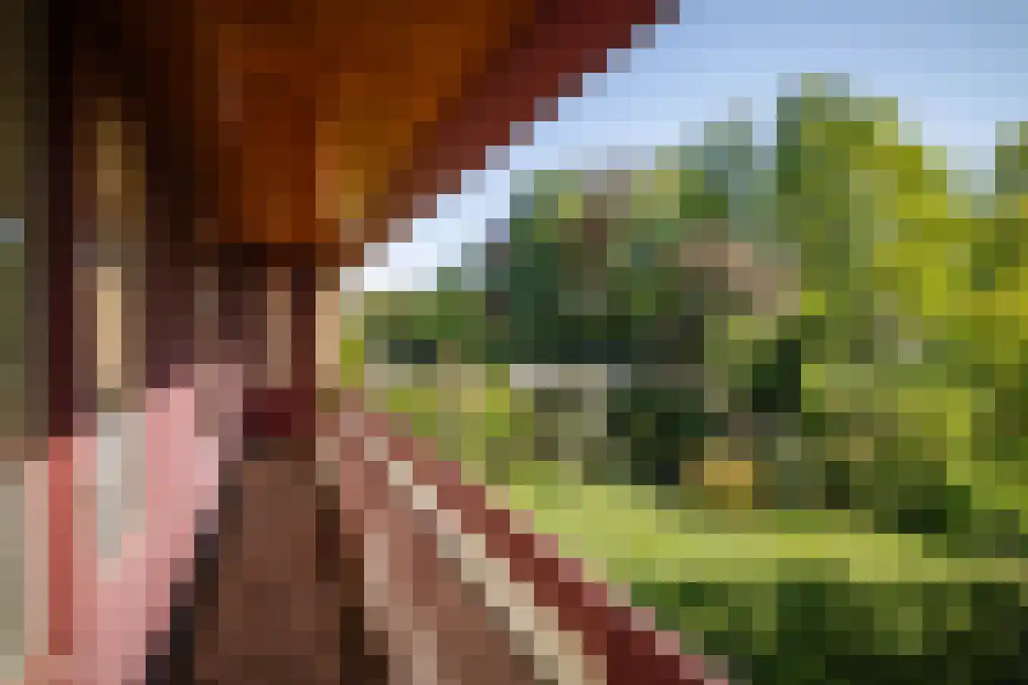 Overstichtlaan 25 Deventer thumbnail 44
