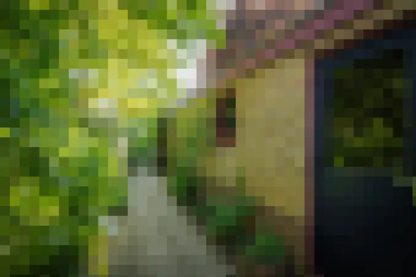 Overstichtlaan 25 Deventer thumbnail 46