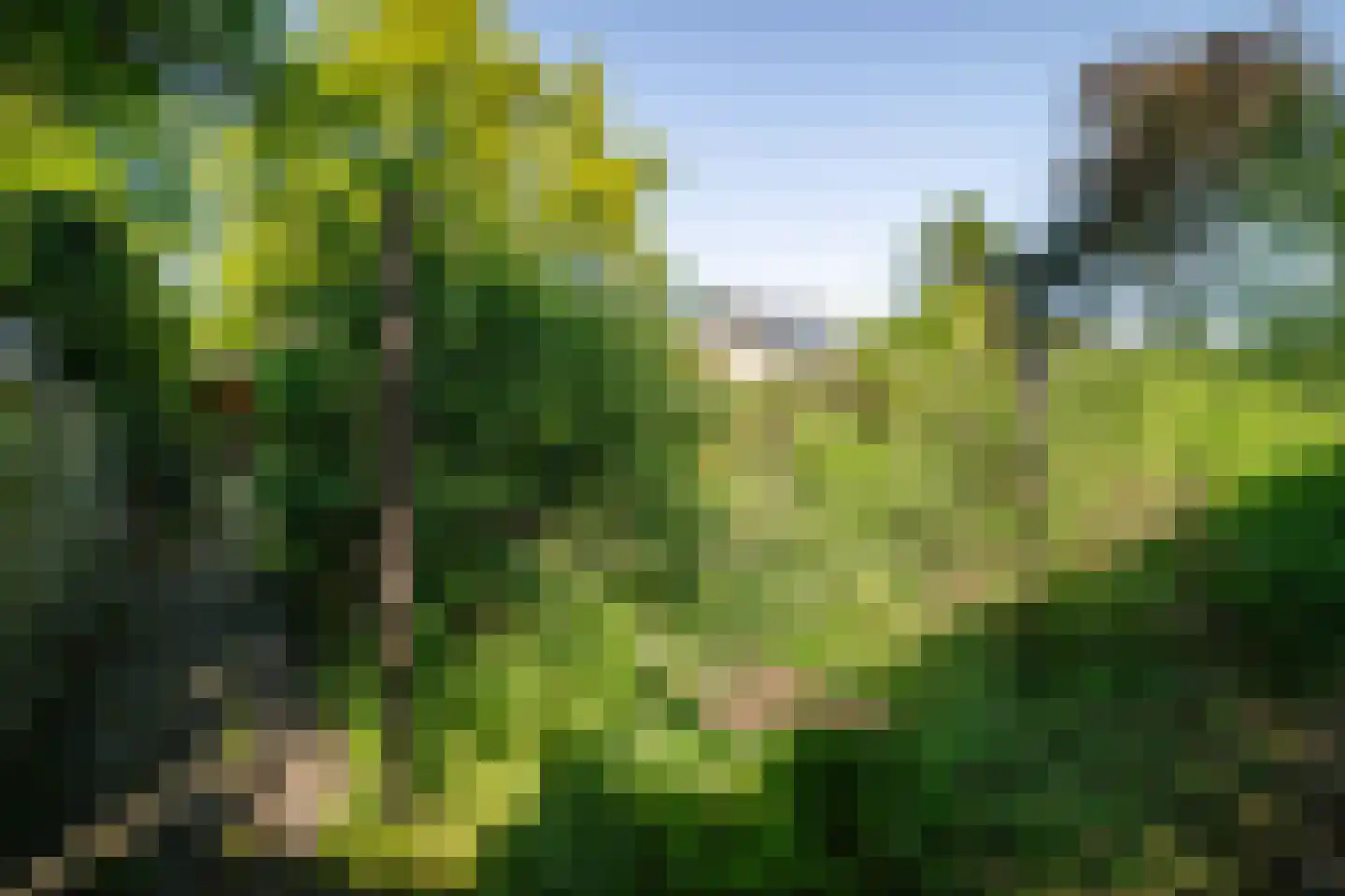 Overstichtlaan 25 Deventer thumbnail 48