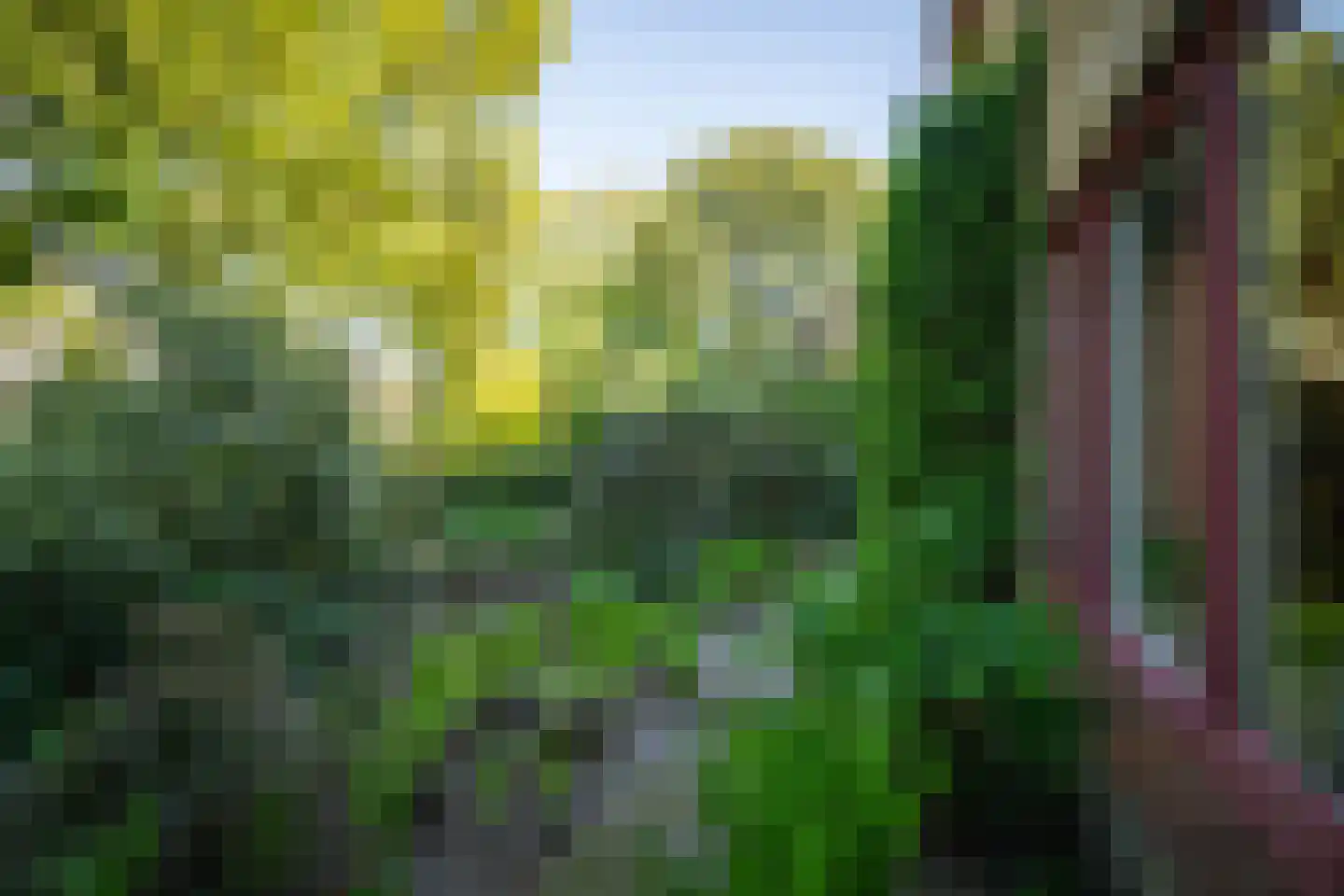 Overstichtlaan 25 Deventer thumbnail 52