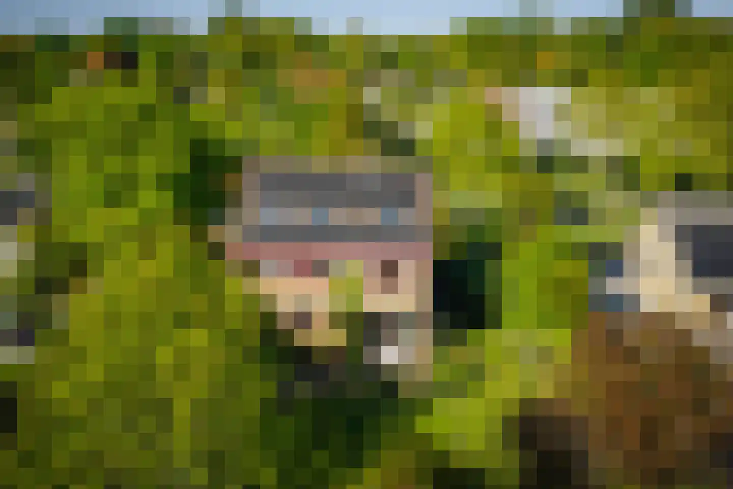 Overstichtlaan 25 Deventer thumbnail 57