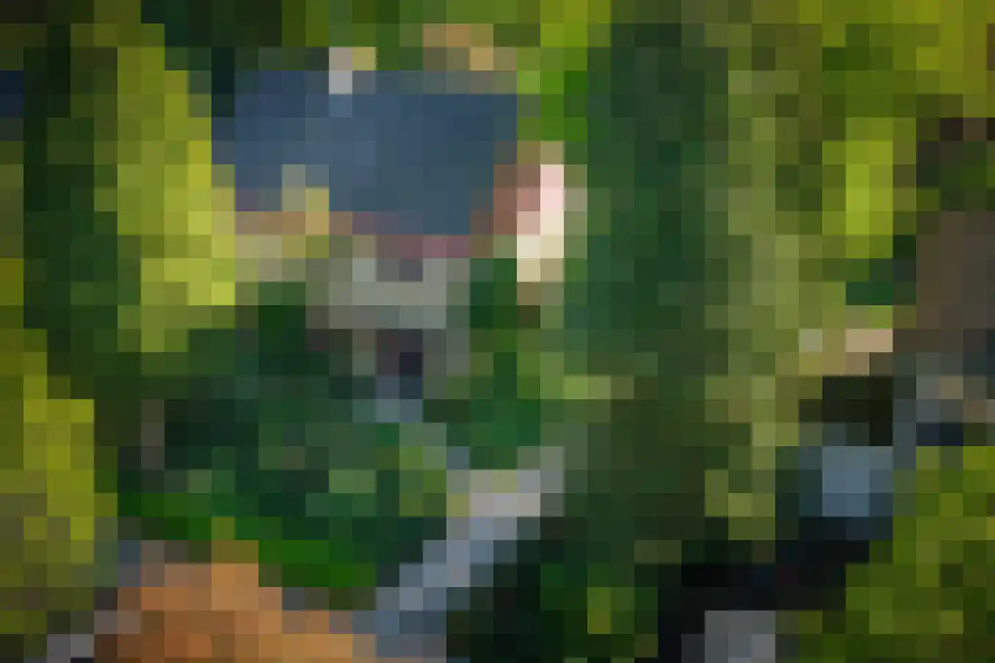 Overstichtlaan 25 Deventer thumbnail 58