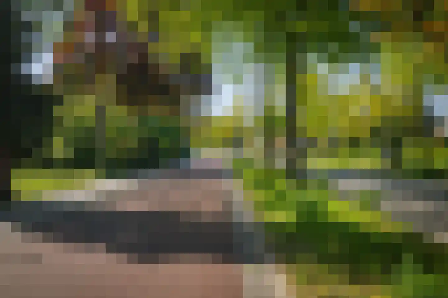 Overstichtlaan 25 Deventer thumbnail 60