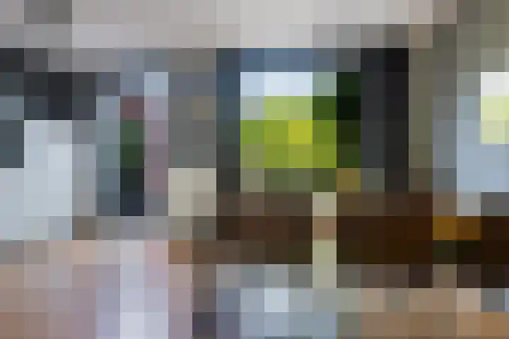 Overstoep 30 Assen thumbnail 15