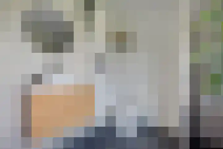 Overstoep 30 Assen thumbnail 26