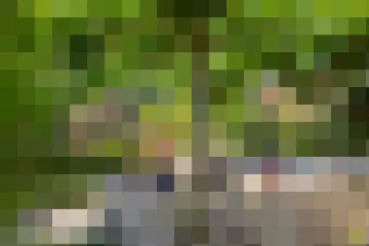 Overstoep 30 Assen thumbnail 40
