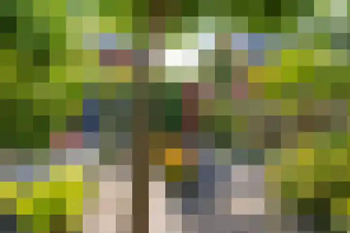Overstoep 30 Assen thumbnail 44
