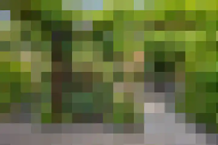 Overstoep 30 Assen thumbnail 47