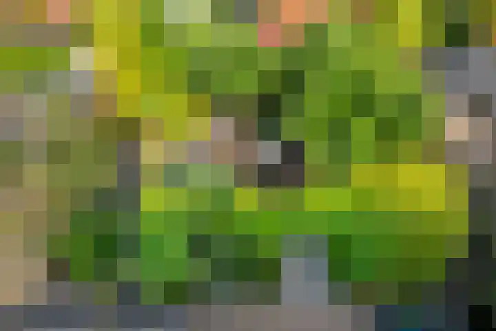 Overstoep 30 Assen thumbnail 52