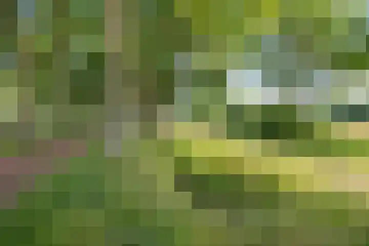 Overstoep 30 Assen thumbnail 53