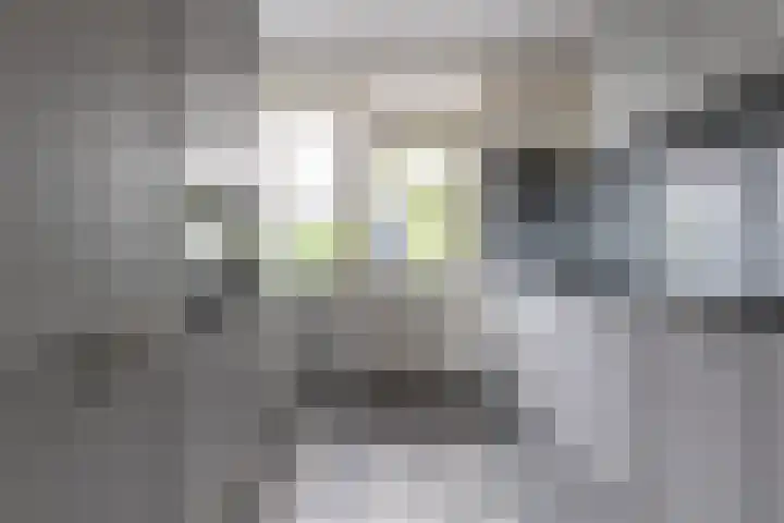 Overstort 15 Grootebroek thumbnail 12