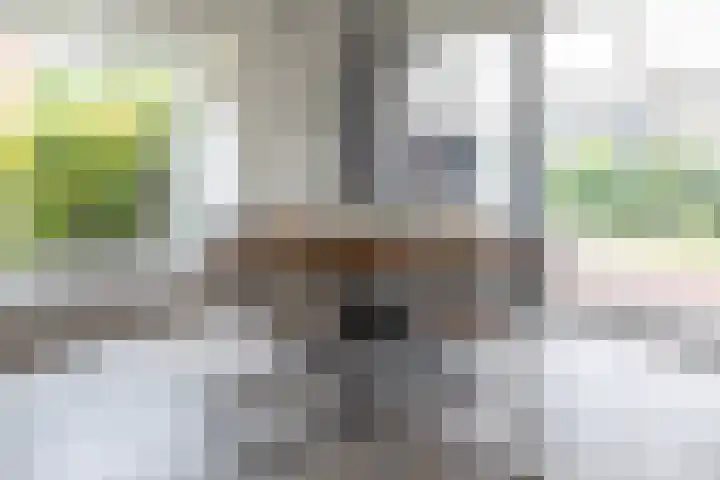 Overstort 15 Grootebroek thumbnail 8
