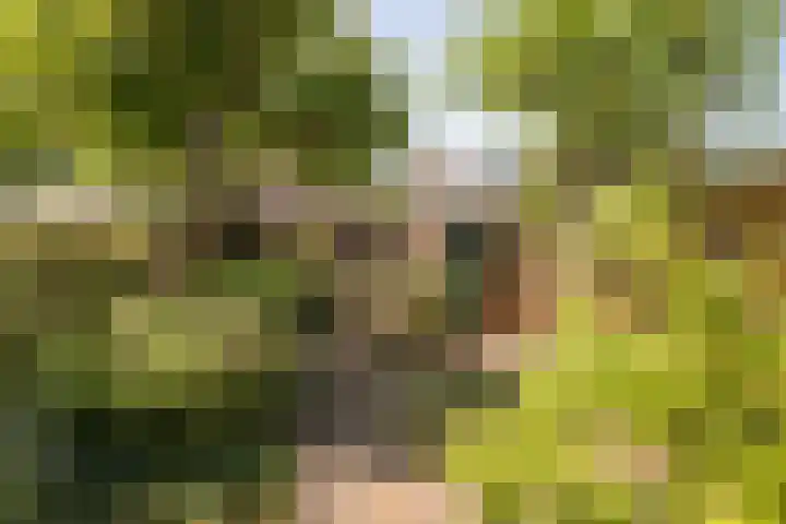 Overstort 5 Grootebroek thumbnail 30