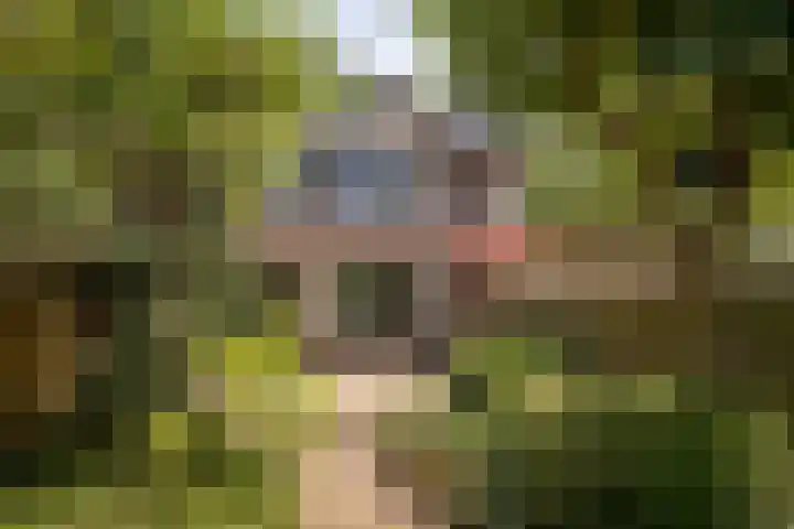 Overstort 5 Grootebroek thumbnail 31