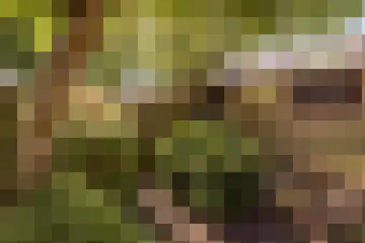 Overstort 5 Grootebroek thumbnail 33