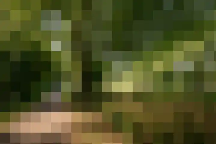 Overstort 5 Grootebroek thumbnail 37