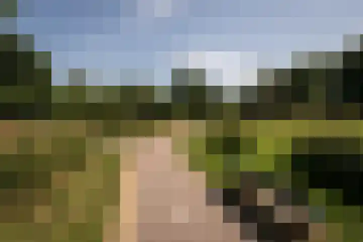 Overstort 5 Grootebroek thumbnail 38