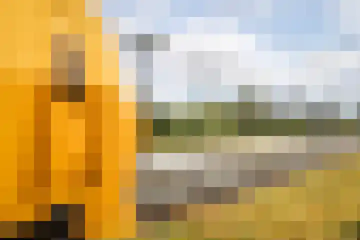 Overstort 5 Grootebroek thumbnail 39