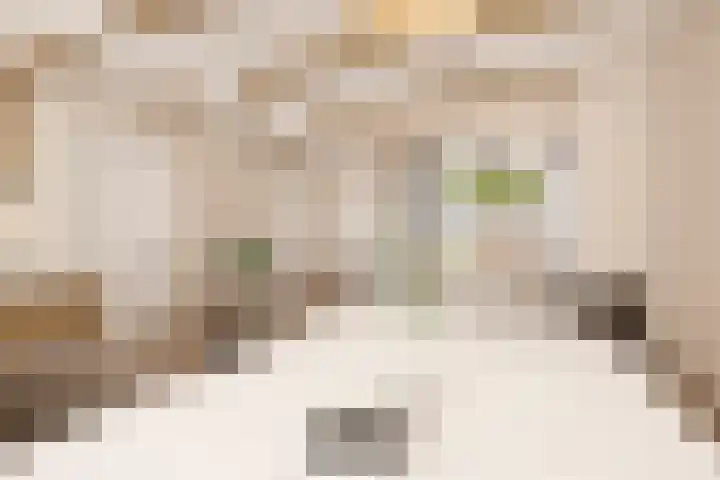 Overstort 5 Grootebroek thumbnail 8