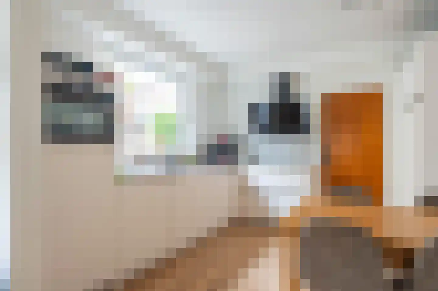 Overstraat 10 Munstergeleen thumbnail 13