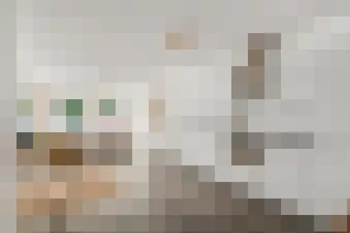 Overstraat 11 Amerongen thumbnail 13