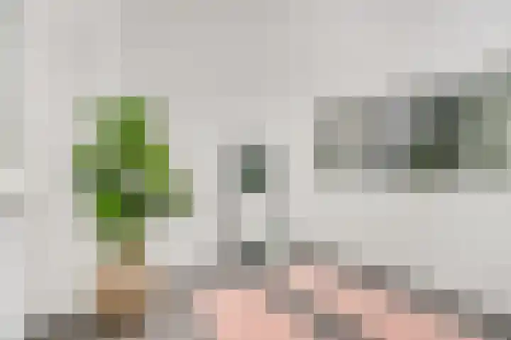 Overstraat 11 Amerongen thumbnail 23