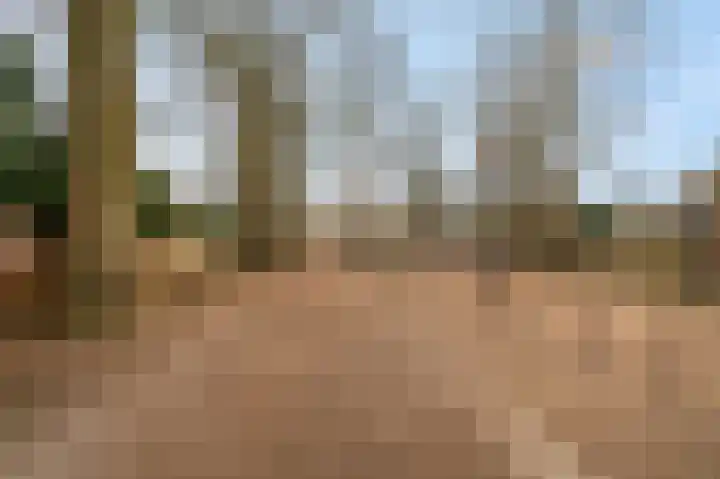 Overstraat 11 Amerongen thumbnail 31